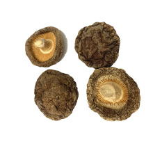 Массовый гриб Шитаке шампиньона овощного обезвоженного ОБЪЯВЛЕНИЯ для варить